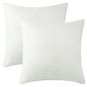 Pack of 2 Corduroy Throw Pillow Covers for Sofa Living Room Chair, White